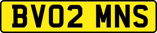 BV02MNS