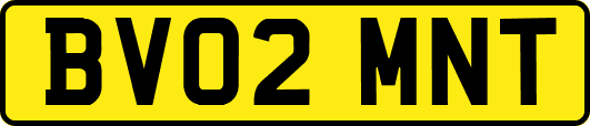 BV02MNT