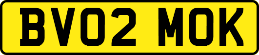 BV02MOK