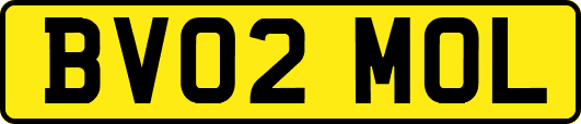 BV02MOL