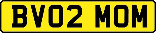 BV02MOM