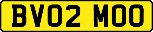 BV02MOO