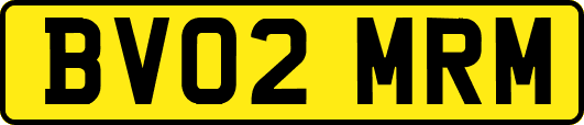 BV02MRM