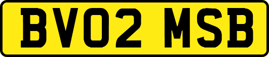 BV02MSB