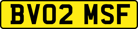 BV02MSF