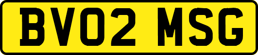 BV02MSG