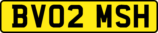 BV02MSH