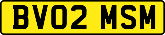 BV02MSM
