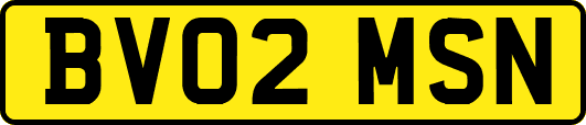 BV02MSN