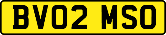 BV02MSO