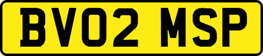 BV02MSP