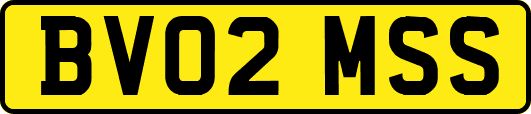 BV02MSS