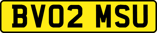 BV02MSU