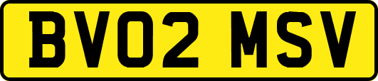 BV02MSV