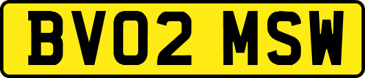 BV02MSW