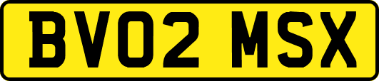 BV02MSX