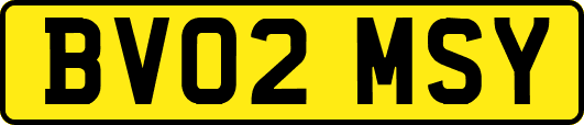 BV02MSY
