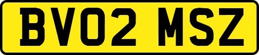 BV02MSZ