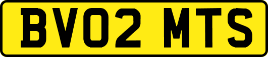 BV02MTS