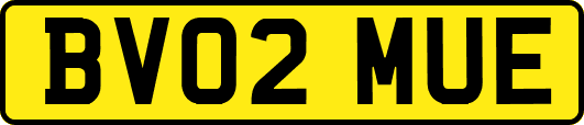 BV02MUE