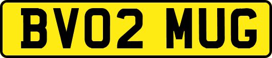 BV02MUG