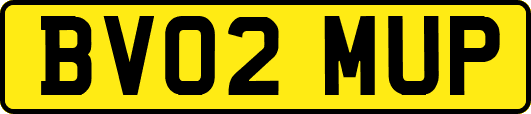 BV02MUP
