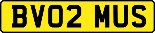 BV02MUS