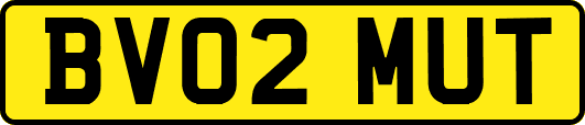 BV02MUT
