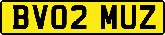 BV02MUZ