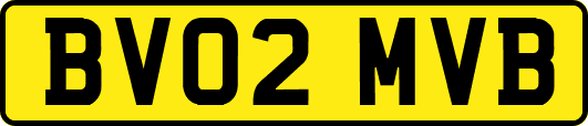 BV02MVB