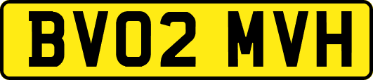 BV02MVH