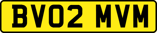 BV02MVM