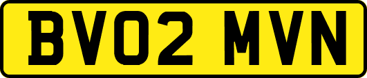 BV02MVN