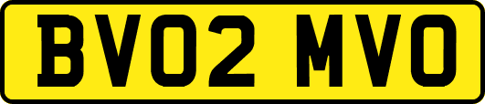 BV02MVO