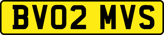 BV02MVS
