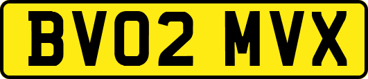 BV02MVX