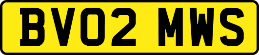 BV02MWS