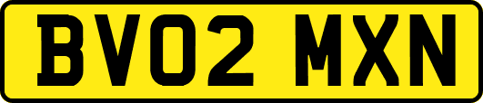 BV02MXN