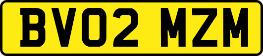 BV02MZM