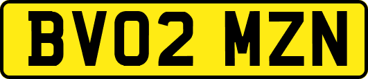 BV02MZN