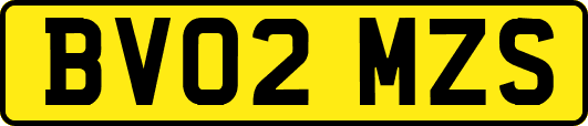 BV02MZS