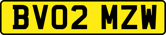 BV02MZW