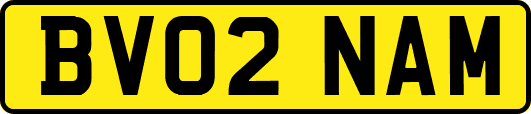 BV02NAM