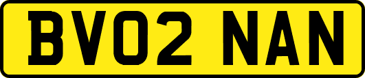 BV02NAN