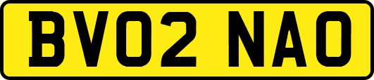 BV02NAO