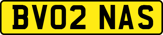 BV02NAS