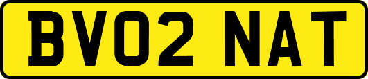 BV02NAT