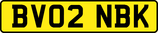 BV02NBK