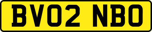 BV02NBO