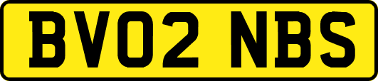 BV02NBS